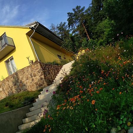 Mezi Stromy Hotel Horakov Exterior photo